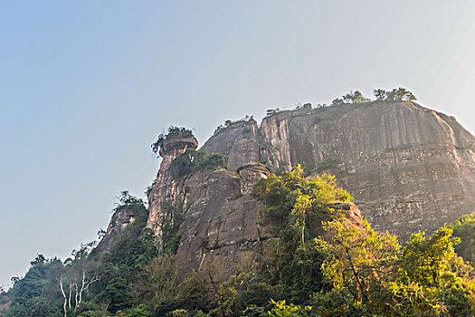 lô bạch thu hôm nay