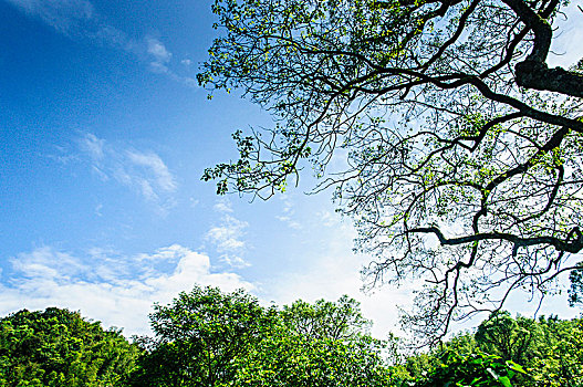 xổ số thứ ba tuần rồi