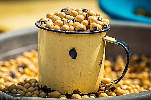 bạch thủ lô kép hôm nay