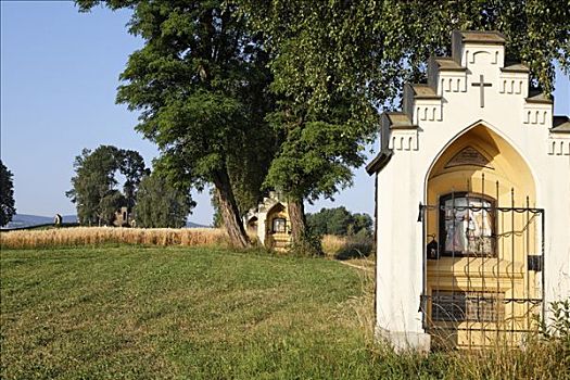 soi cau vua nha cai