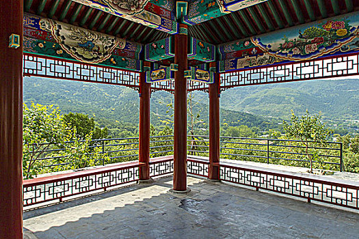 soi cau bach thu tp