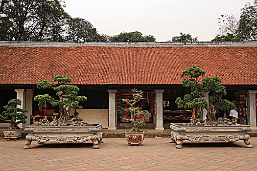 soi cau chuan 3 mien