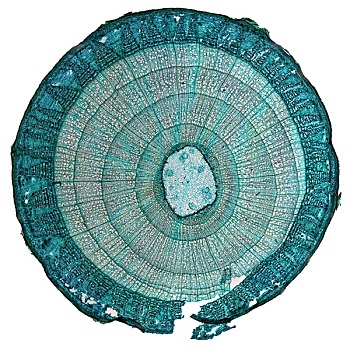 xổ số quảng ninh