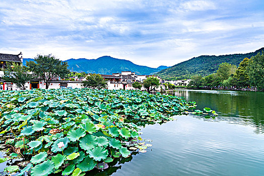 loto bach thu mien bac hang ngay