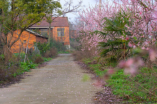 bach thu khung 3 ngay
