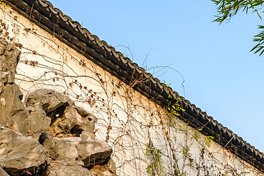 dự đoán xỉu chủ