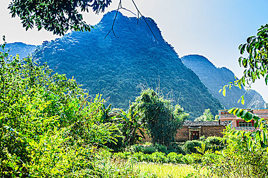 soi cau vip binh dinh