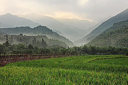 du doan xs quang nam wap