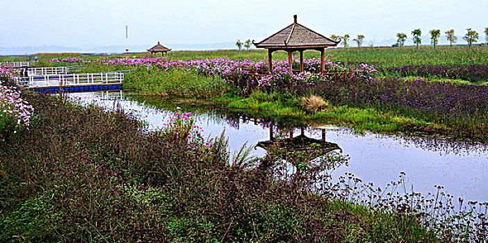 lo kep khung 3 ngay 247 net