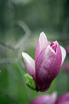 thống kê xổ số gia lai