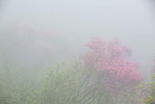 kqxs vinh lông