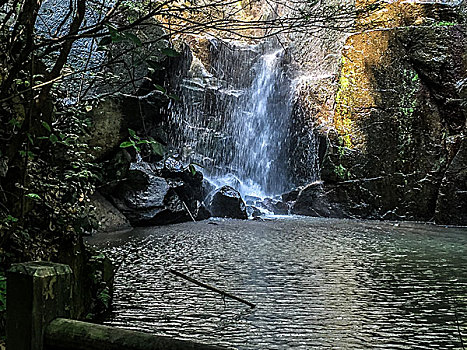 soi câu lô bach thu