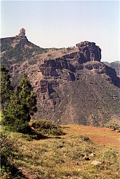 bạch thủ đề chuẩn