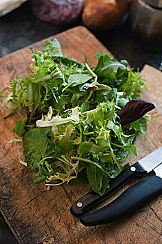 thống kê lô tô miền bắc