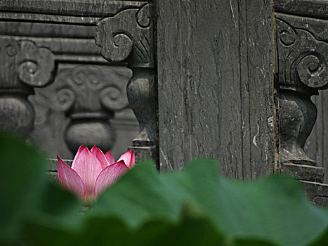 soi cau lo de bach thu