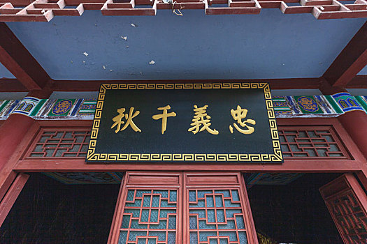 rong bach kim soi cau 88
