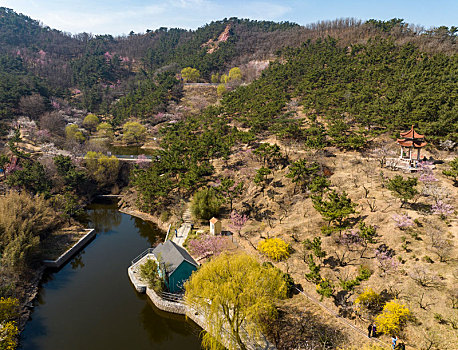 cau bach thu kep
