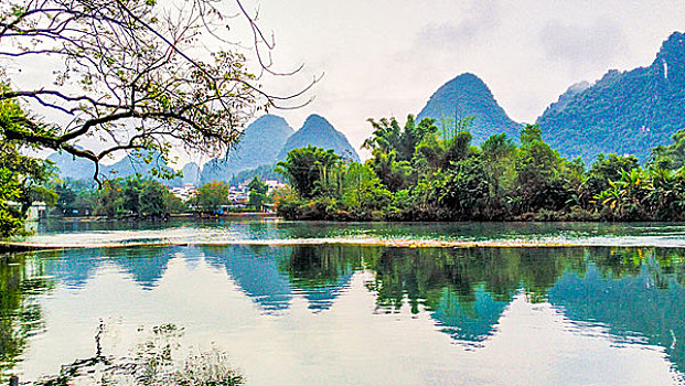 soi cau lo mien nam