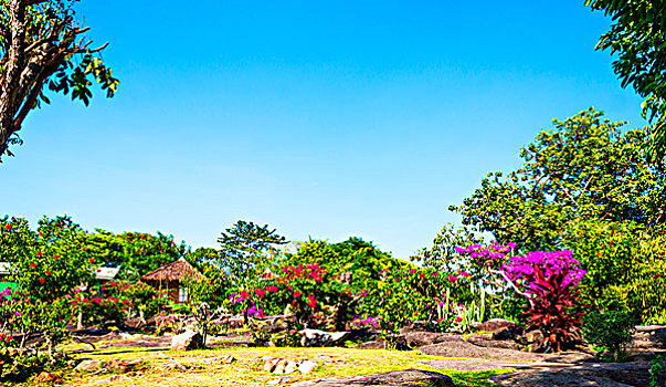 soi cau tai loc