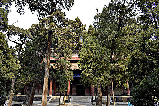 số dep hom nay
