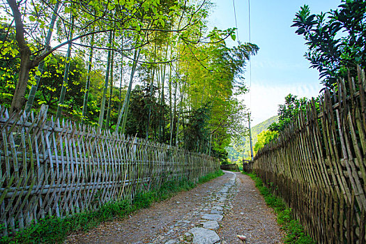 soi cau kep mb