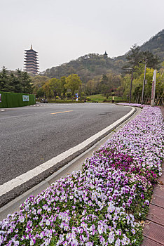 rong bach kim 666 mien nam