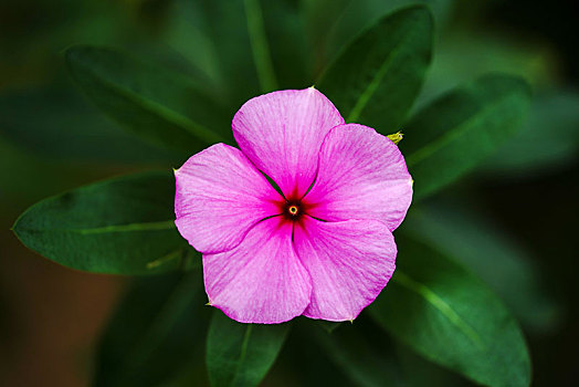 cách đoán lô đề
