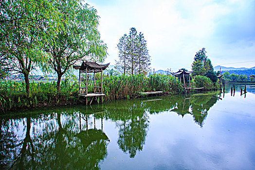 soi cau xs ninh thuan