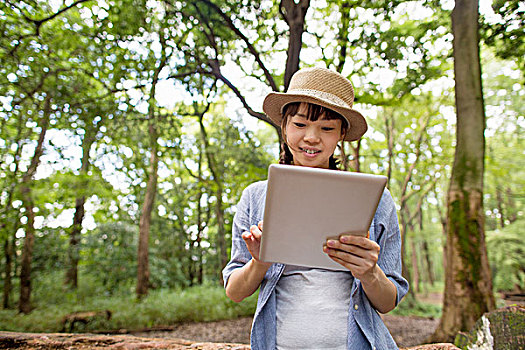chơi xổ số miền bắc online