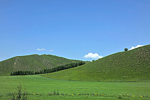 xs miền trung