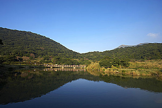 rong bach kim 366