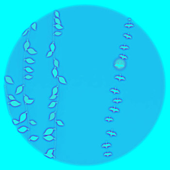 sx ca mau