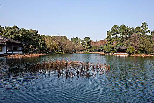 xem rong bach kim
