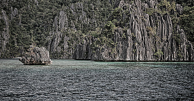 bach thu lo kep mien bac