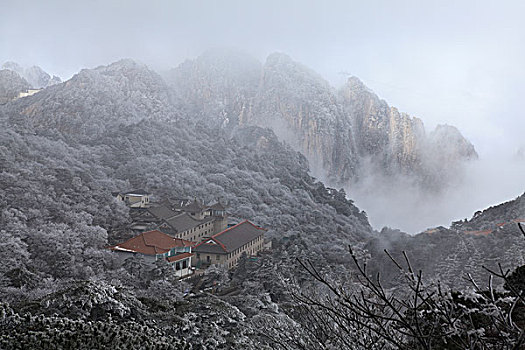 xem rong bach kim