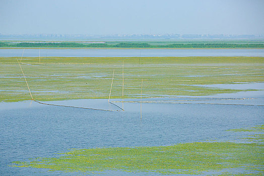 xô số