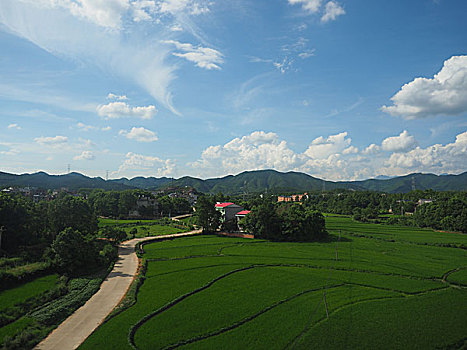 chốt số 366