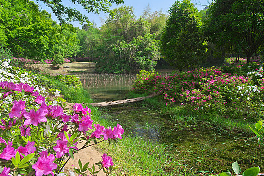 soi cầu miễn phí