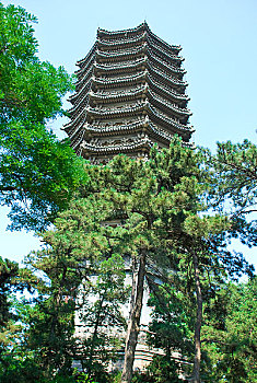 lo đề