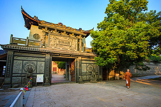 dan song thu lo