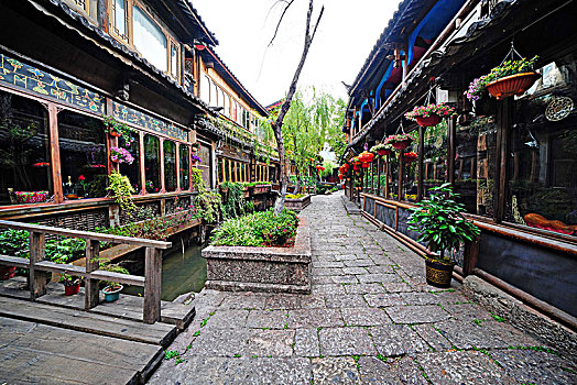 soi cau bach thu mien bac ngay hom nay