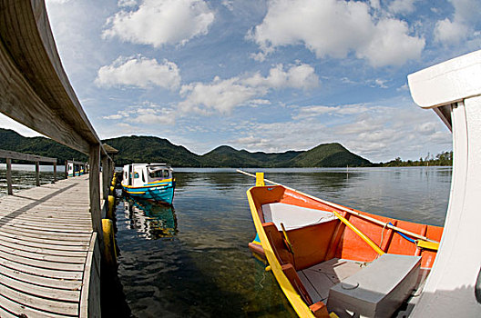 lo de rong vang bach kim