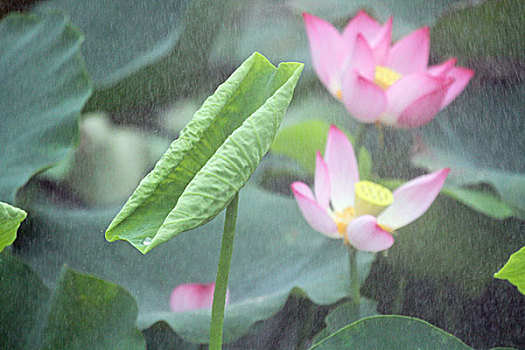 soi cầu xổ số tiền giang