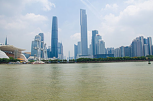 gà đá không chịu ăn lúa