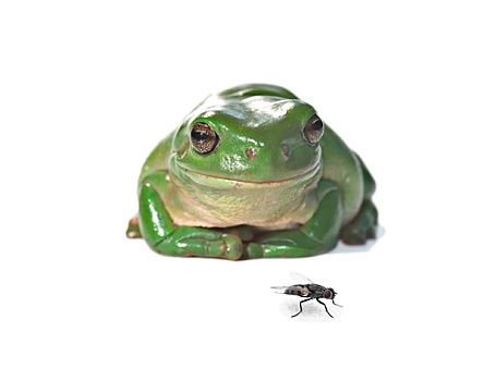 du doan lo de