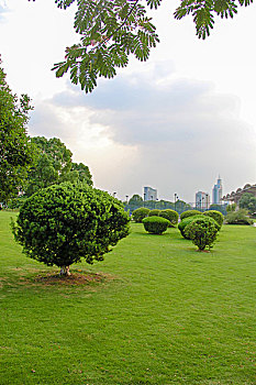 lô đẹp ngày hôm nay