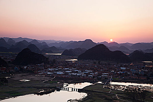 bạch thu lo