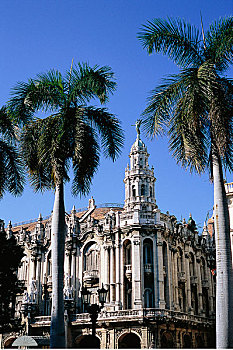 bạch thủ lô hôm nay