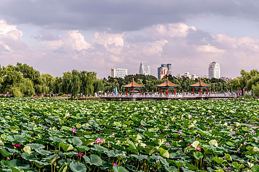 soi cầu kép