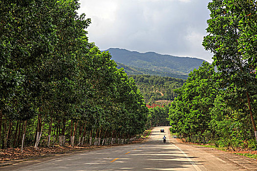 xổ số tây ninh tuần rồi